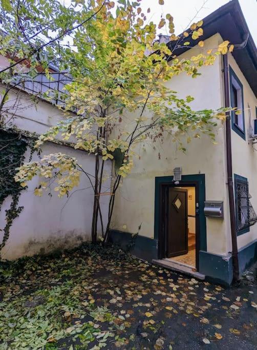 Maisonette Balcesco براشوف المظهر الخارجي الصورة
